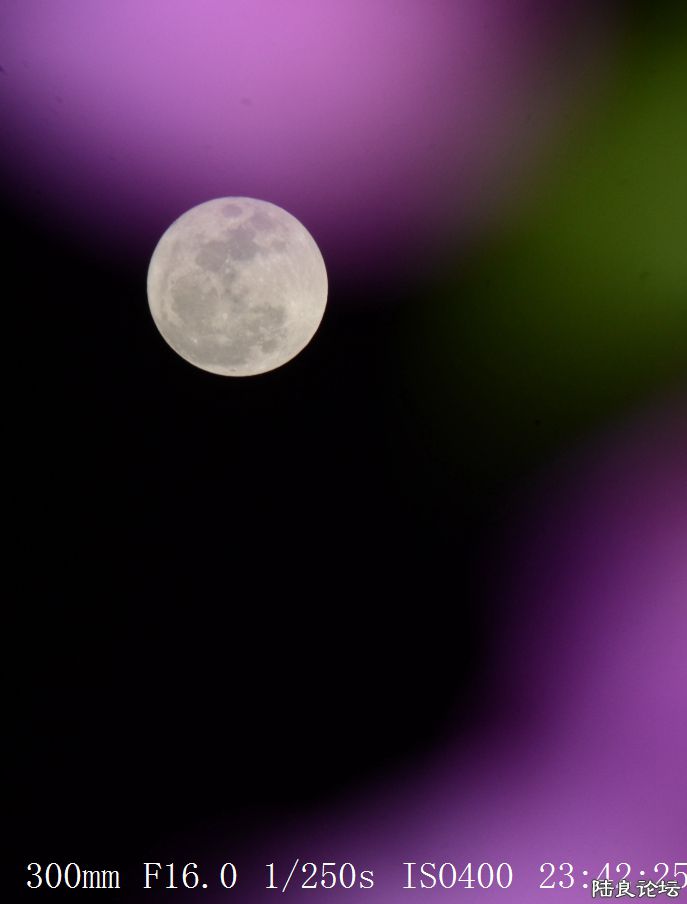 月亮 (13).jpg