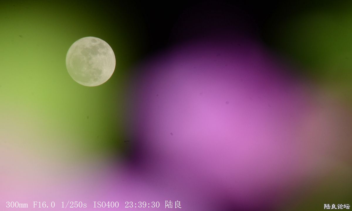 月亮 (12).jpg