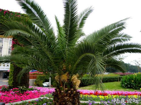 ��Ʒ�۸�ؾ�3��Ŀǰ�۸�25000����