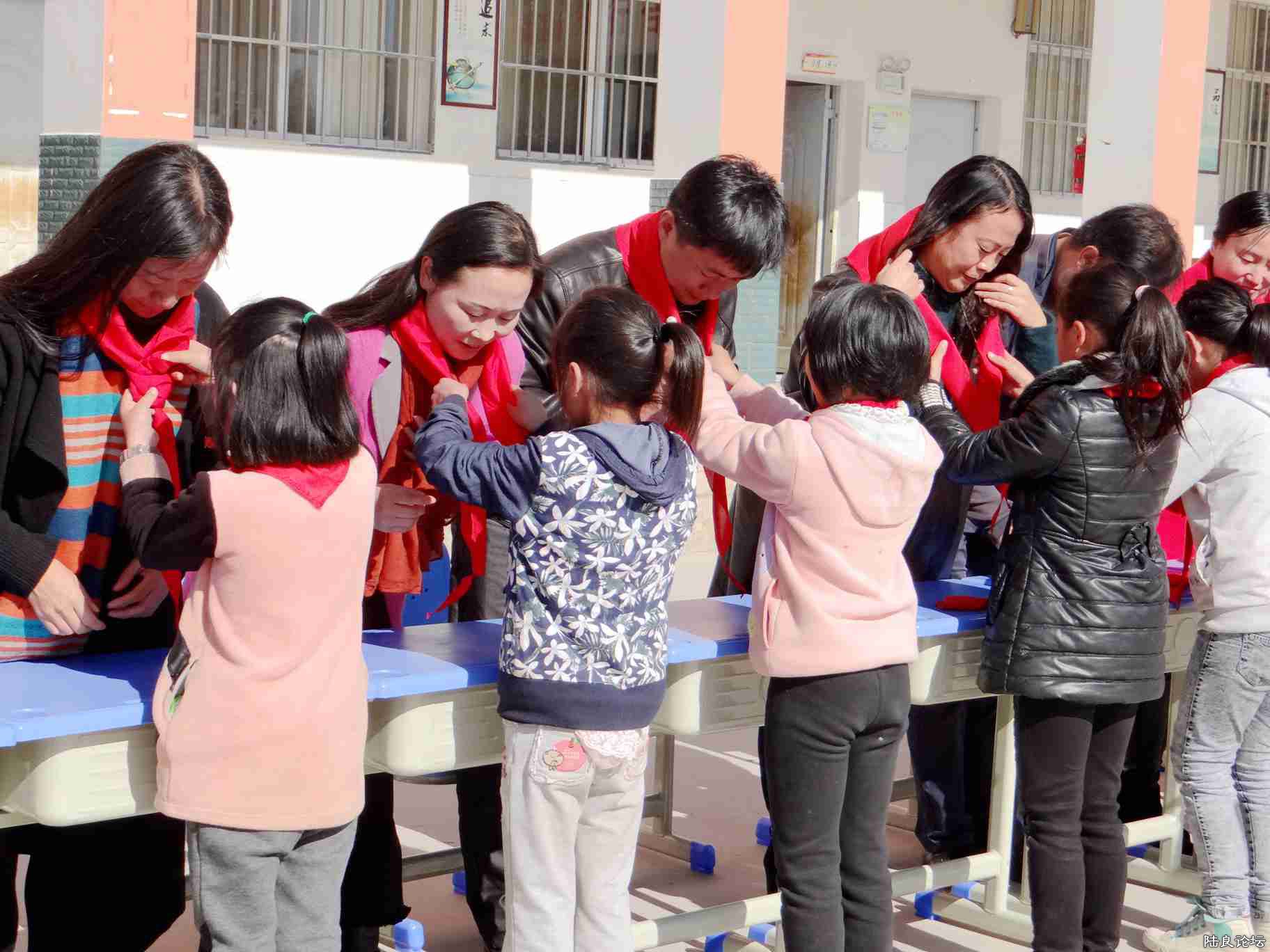 ���������Ϻ����