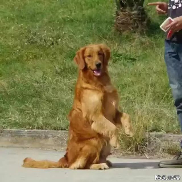 С������