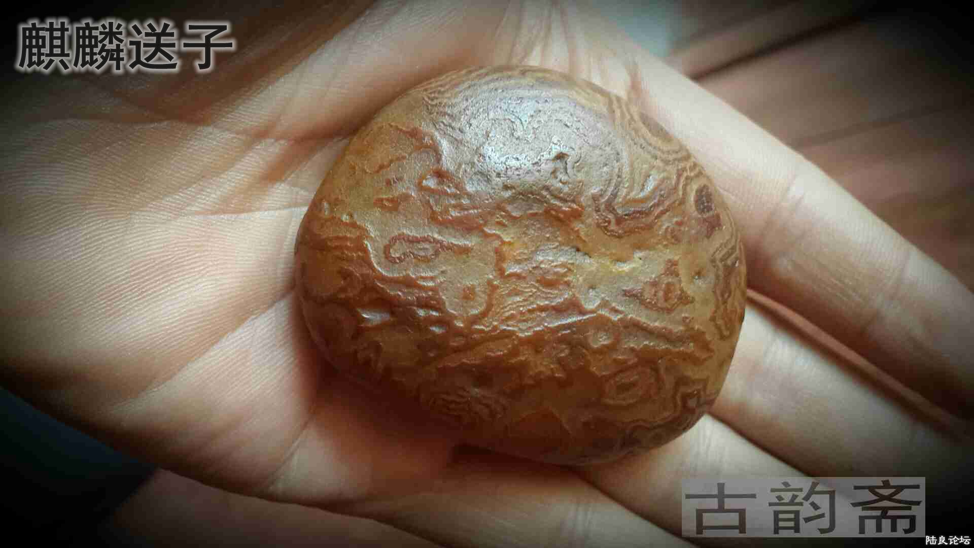 2016-04-30 13.26.35.jpg