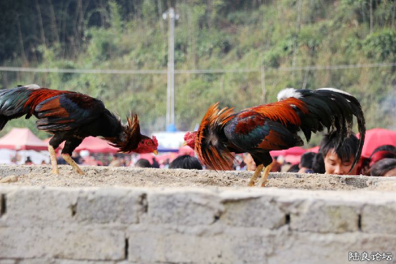 ��ǰ����