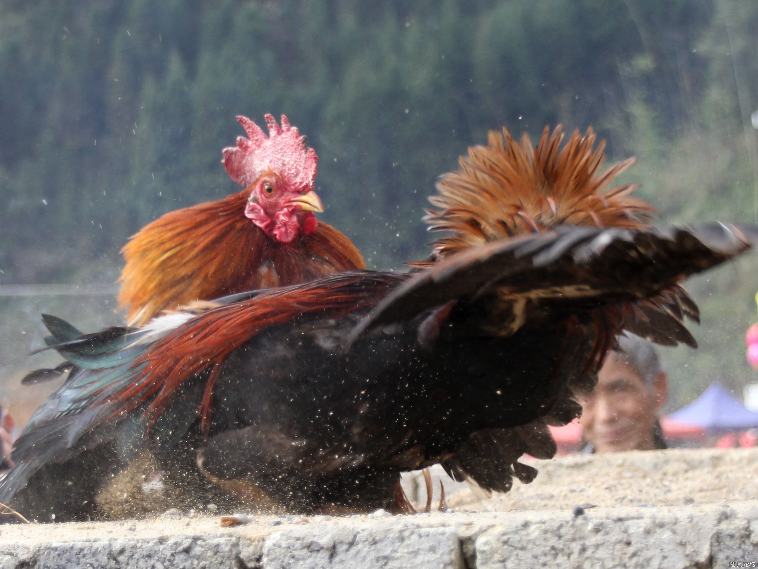 �������