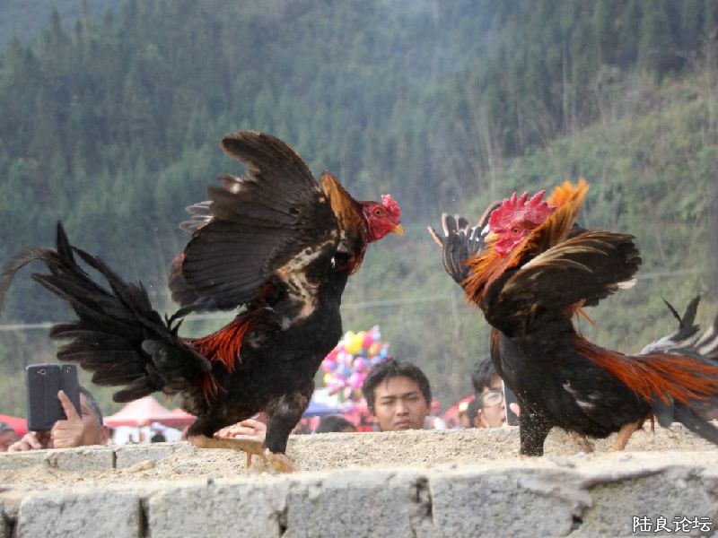 ����ʾ��