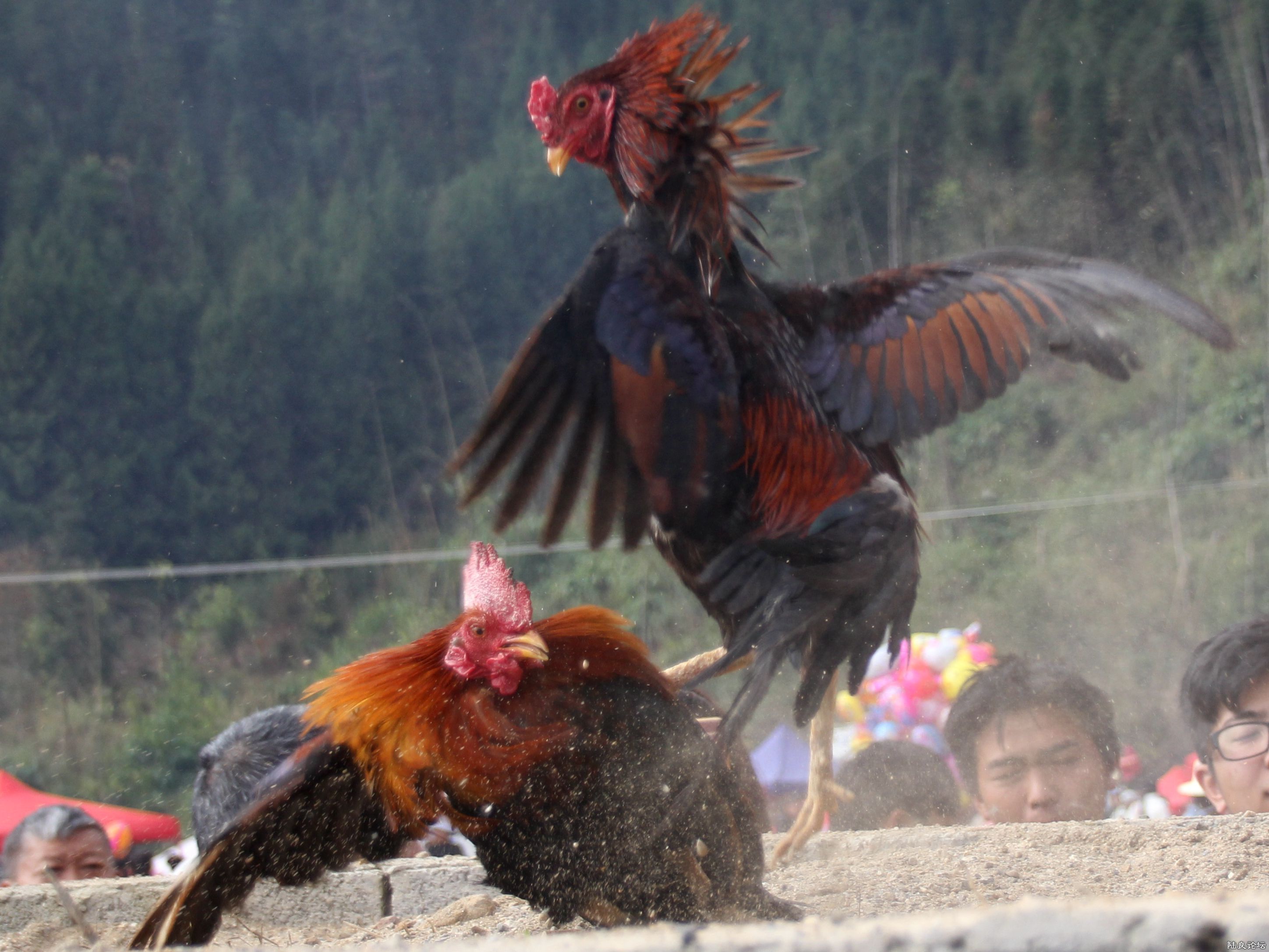 ��Σ����