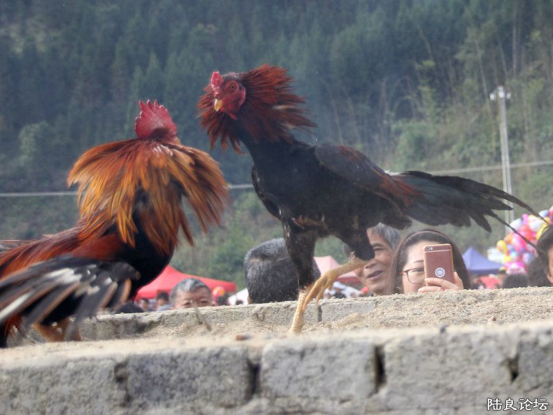 ���ͱ���