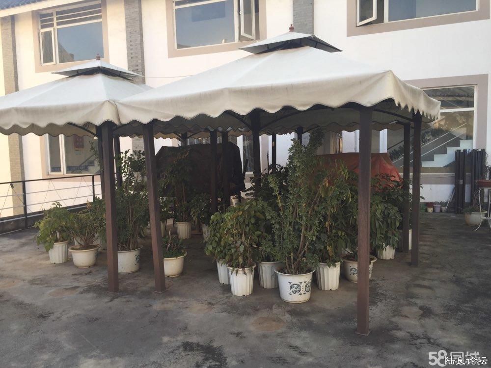 ��¥��԰��̨