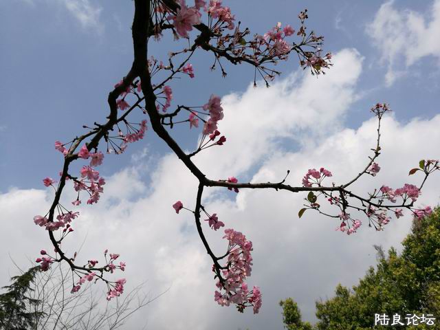 ������С 01.jpg