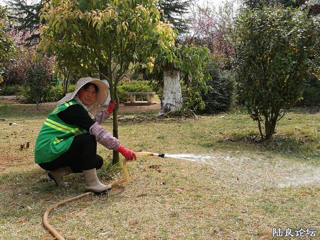 ������С IMG_20170321_142153.jpg