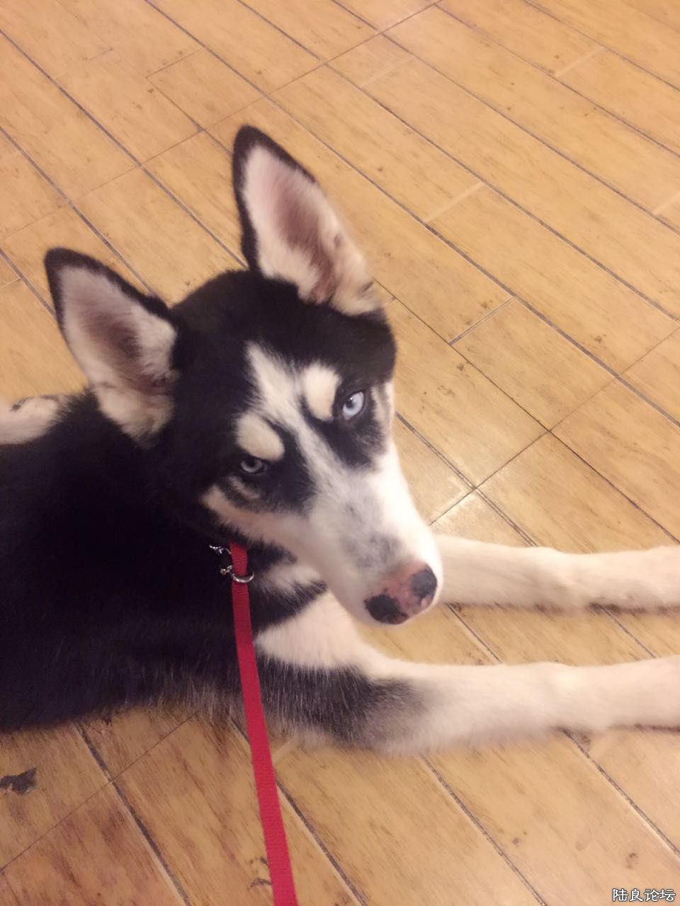 webwxgetmsgimg (1).jpg