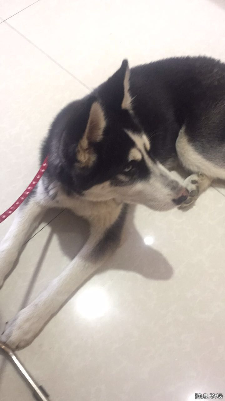 webwxgetmsgimg (2).jpg