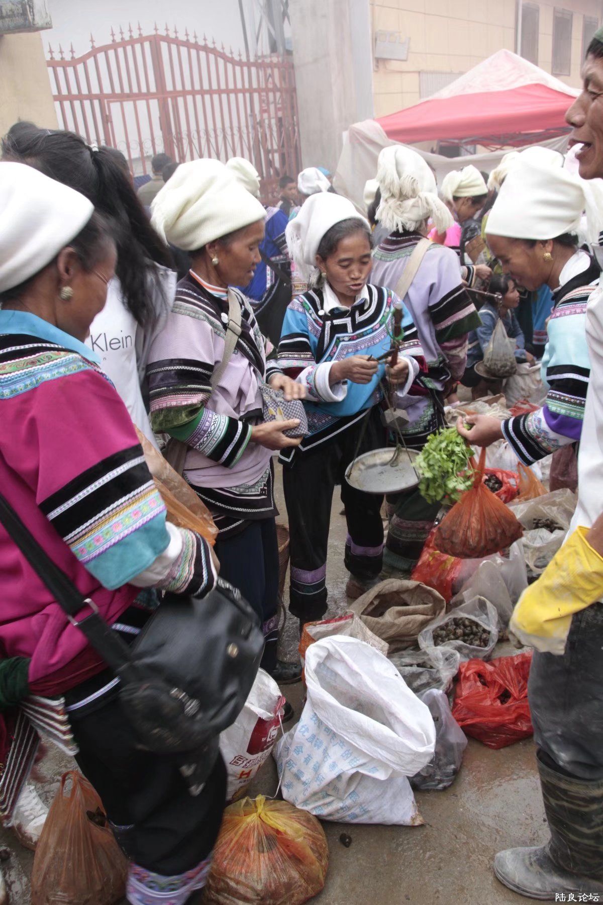 �����ϵ�̯ǰ������