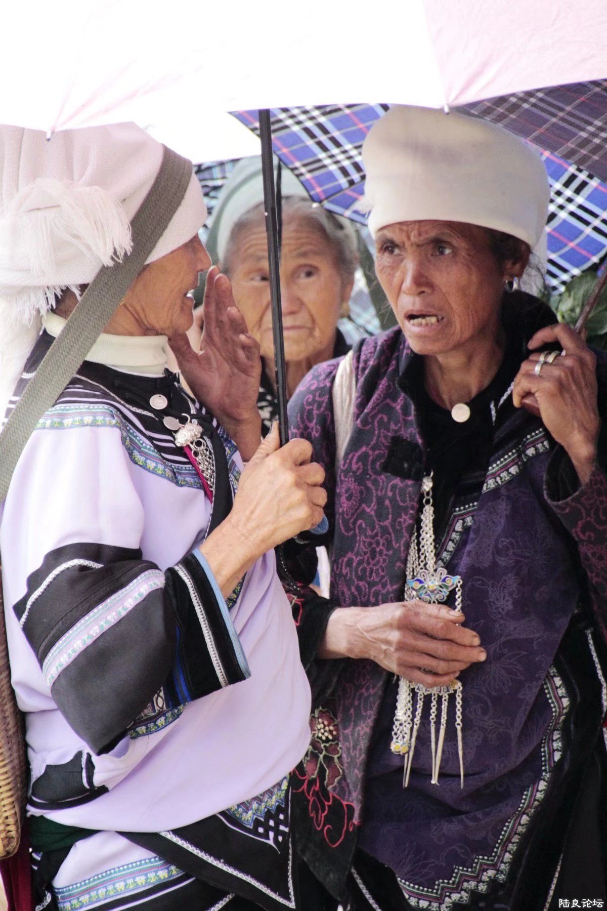 ˵ʲô�أ�������