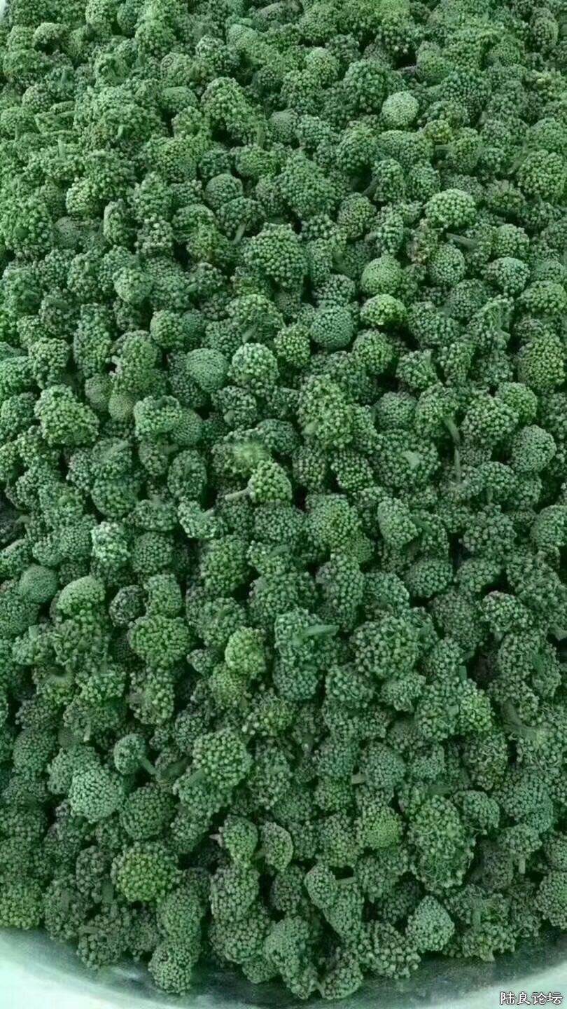 �½��ļ��� (2)mmexport1527131519541.jpg