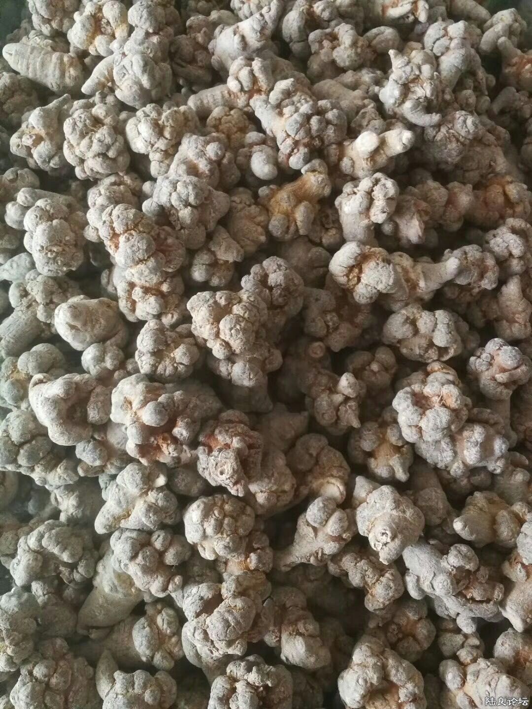 �½��ļ��� (2)mmexport1527131516387.jpg