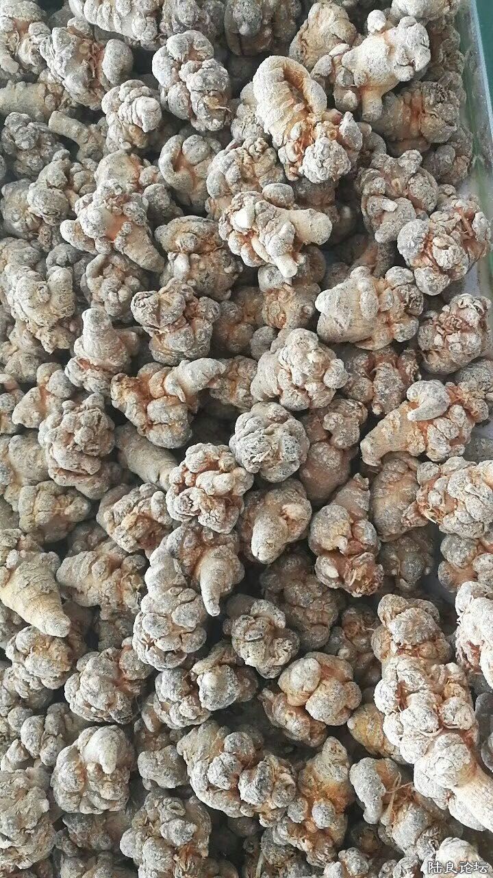 �½��ļ��� (2)mmexport1527131528781.jpg