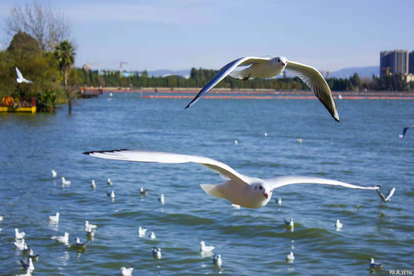 webwxgetmsgimg (1).jpg