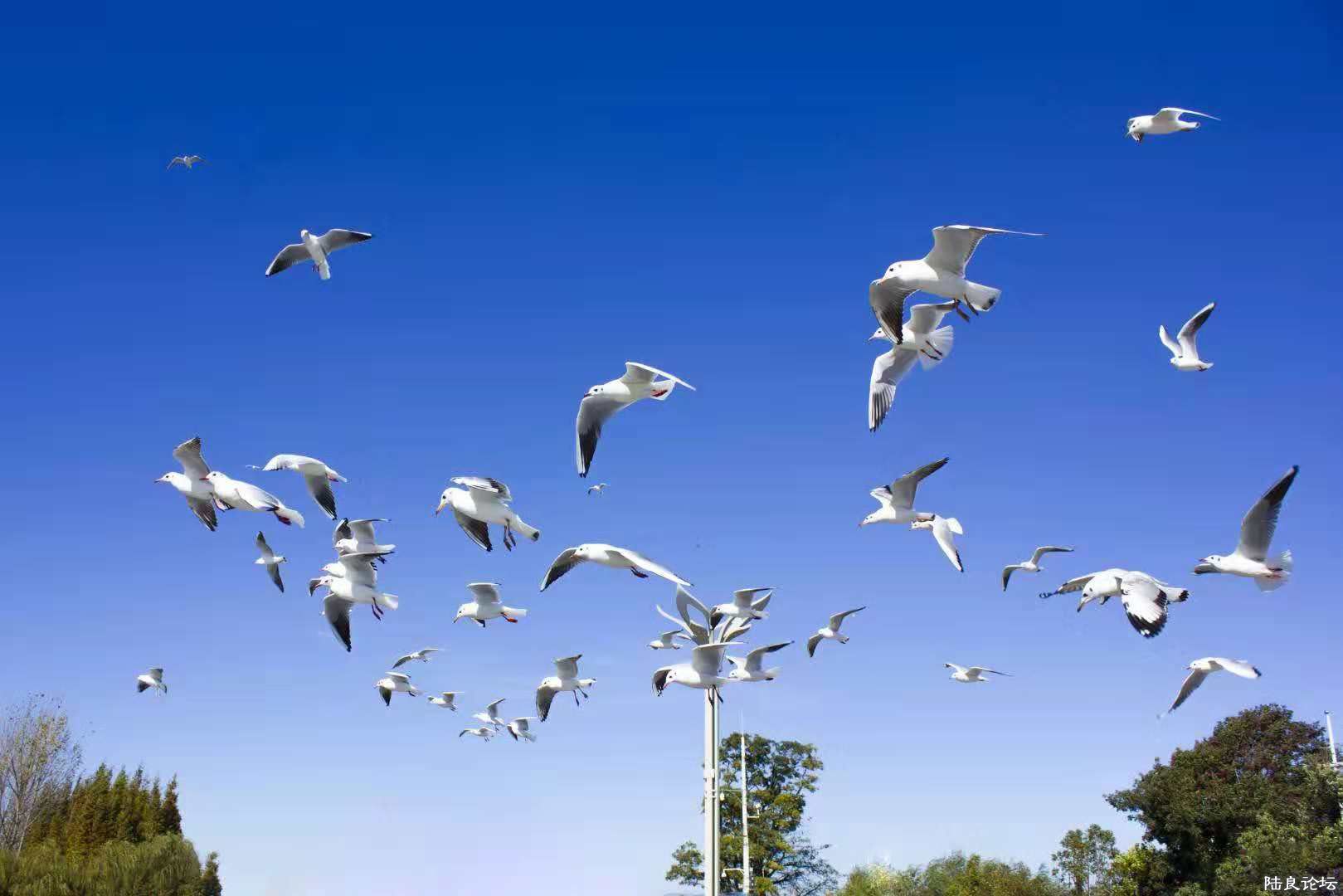 webwxgetmsgimg (3).jpg