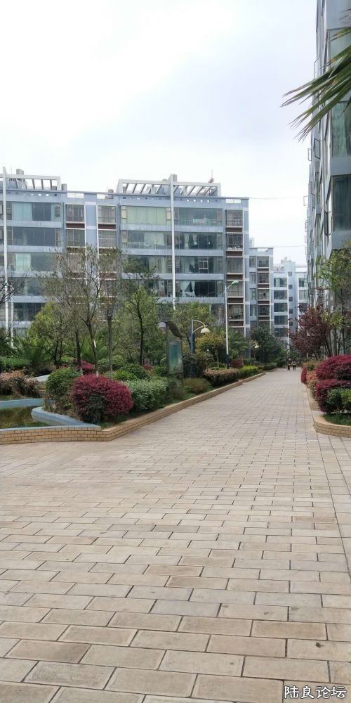 42fdc820e3f98a27a62aff03d7c989c - ����.jpg