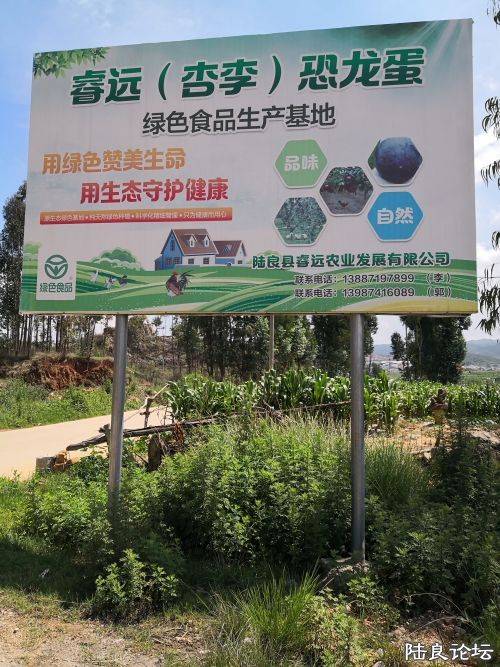 ������  (1).JPG