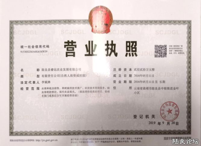 ������  (4).JPG