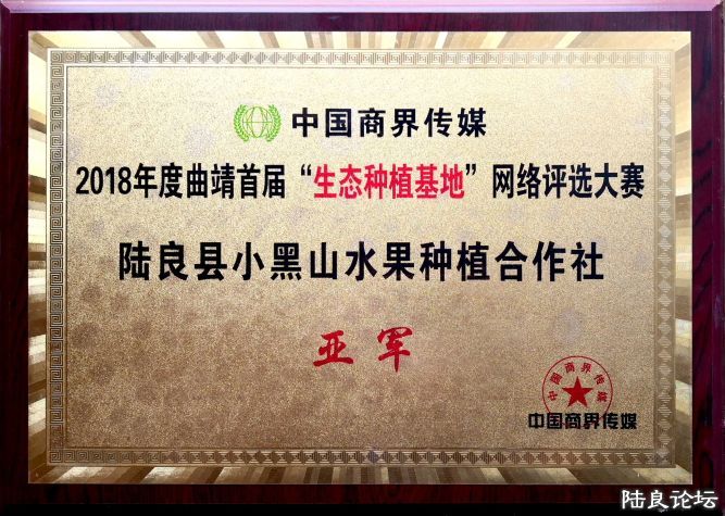 ������  (6).JPG