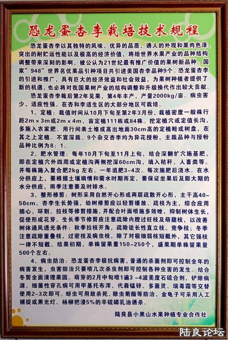 ������  (7).JPG