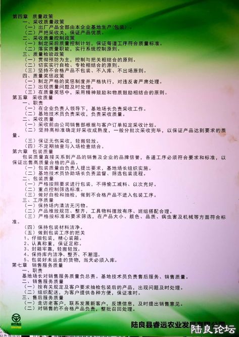 ������  (11).JPG