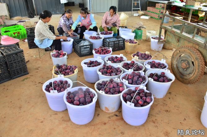 ������  (12).JPG