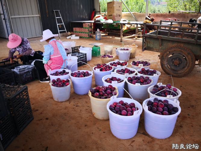 ������  (13).JPG