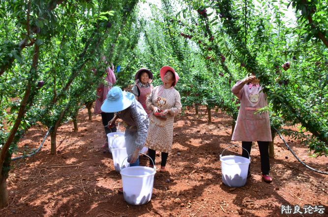 ������  (14).JPG