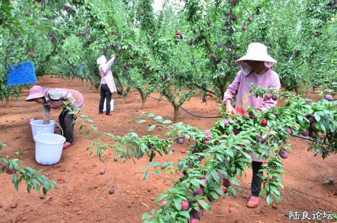 ������  (15).JPG