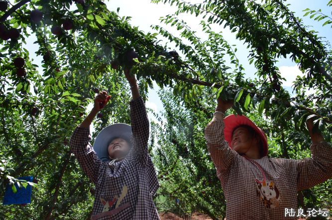 ������  (16).JPG