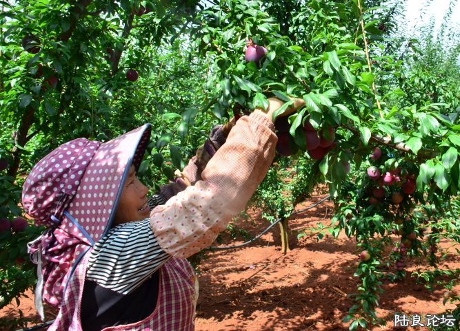 ������  (17).JPG