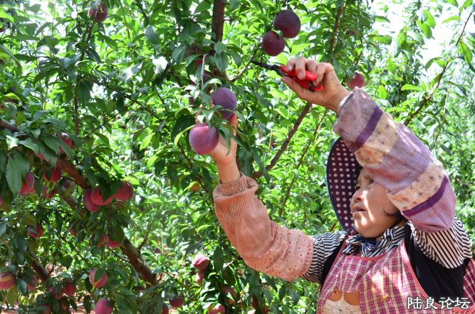 ������  (18).JPG