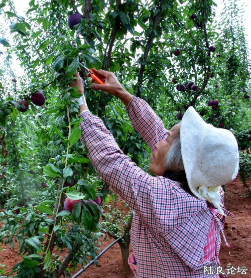 ������  (20).JPG