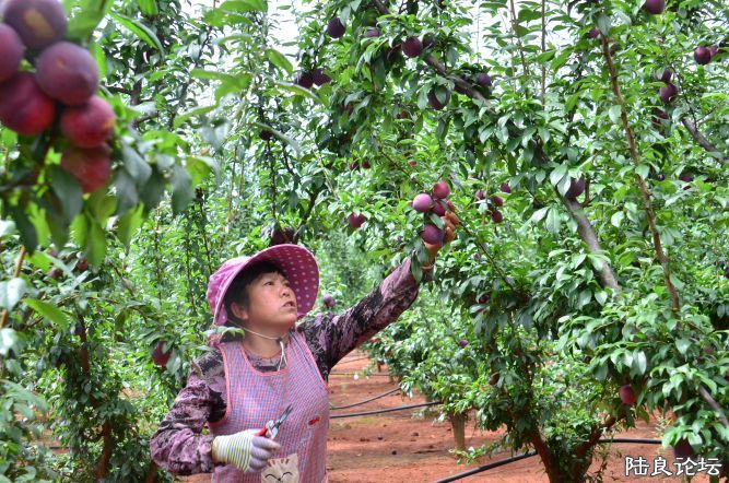 ������  (21).JPG