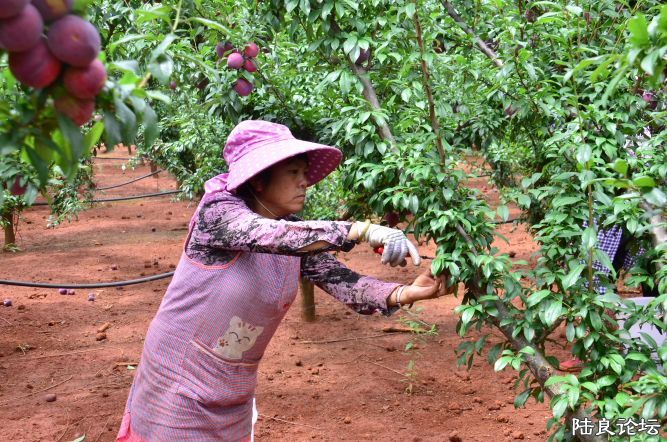 ������  (22).JPG