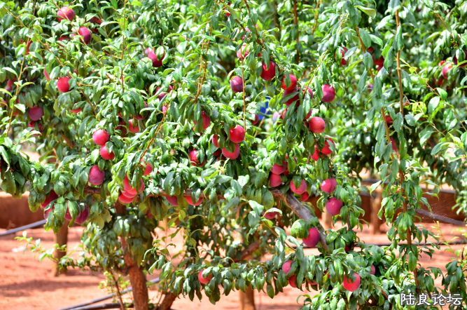 ������  (23).JPG