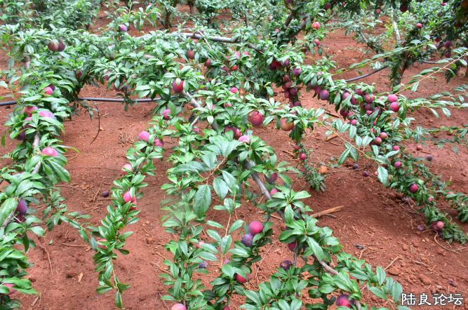 ������  (24).JPG