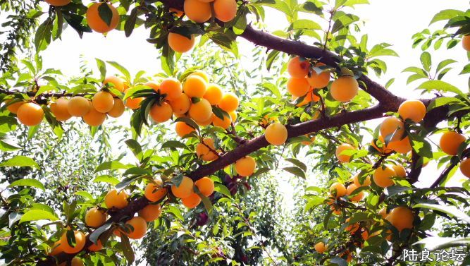 ������  (25).JPG