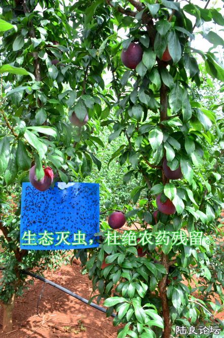 ������  (27).JPG