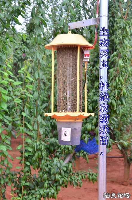 ������  (28).JPG