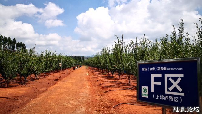 ������  (29).JPG