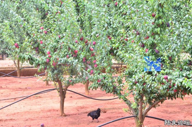 ������  (30).JPG