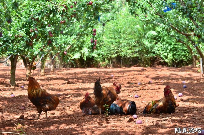 ������  (31).JPG