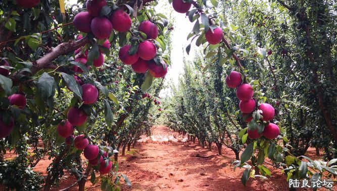 ������  (33).JPG