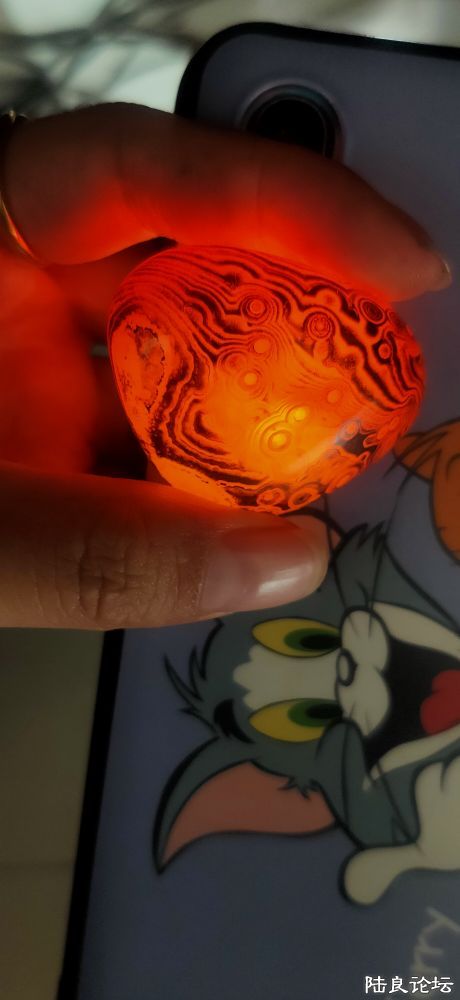 �ֻ����յ�����