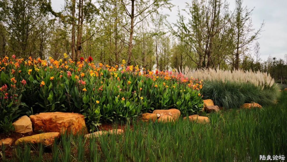 ����½��ͬ�ֹ�԰ (9).JPG